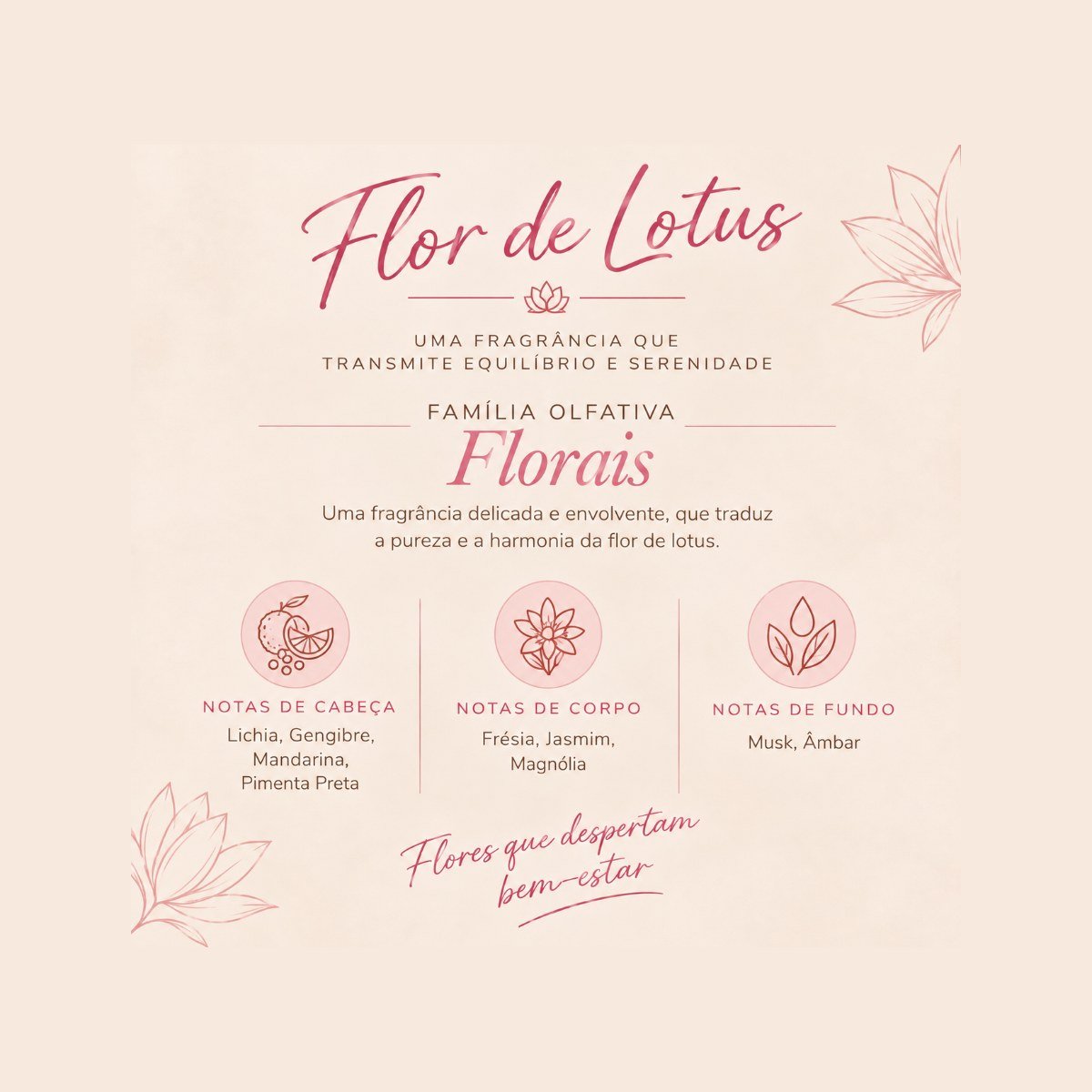 Flor de Lotus