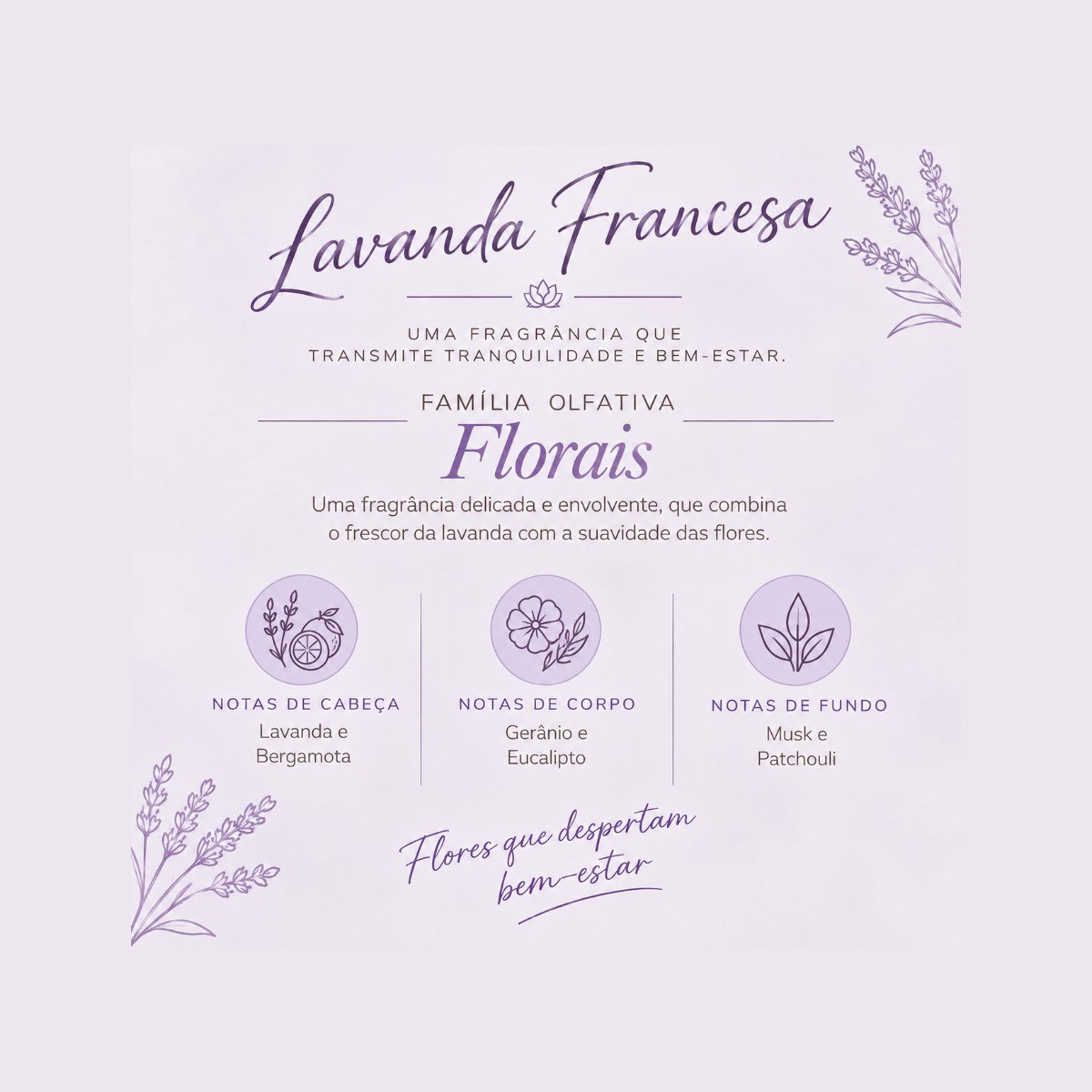 Lavanda