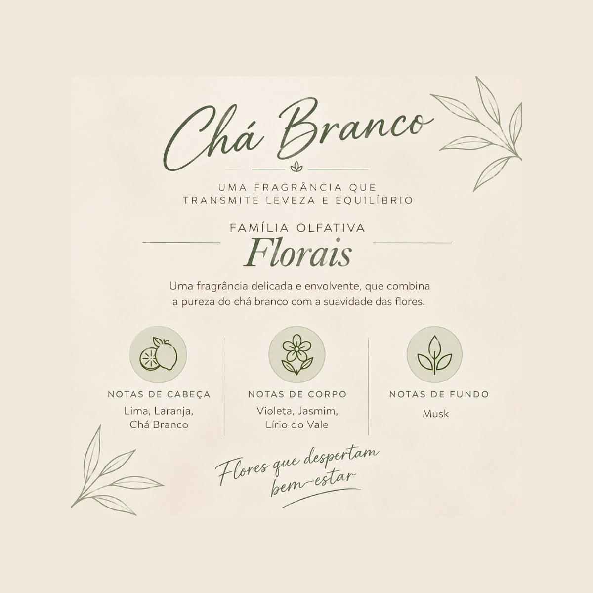 Chá Branco