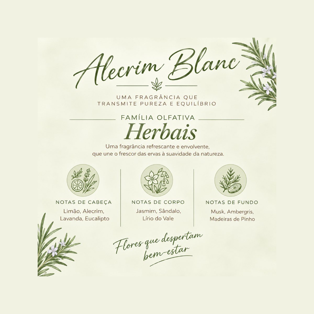 Alecrim (Inspiração Lelis Blanc)