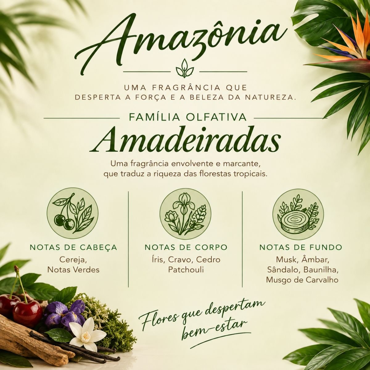 Amazônia