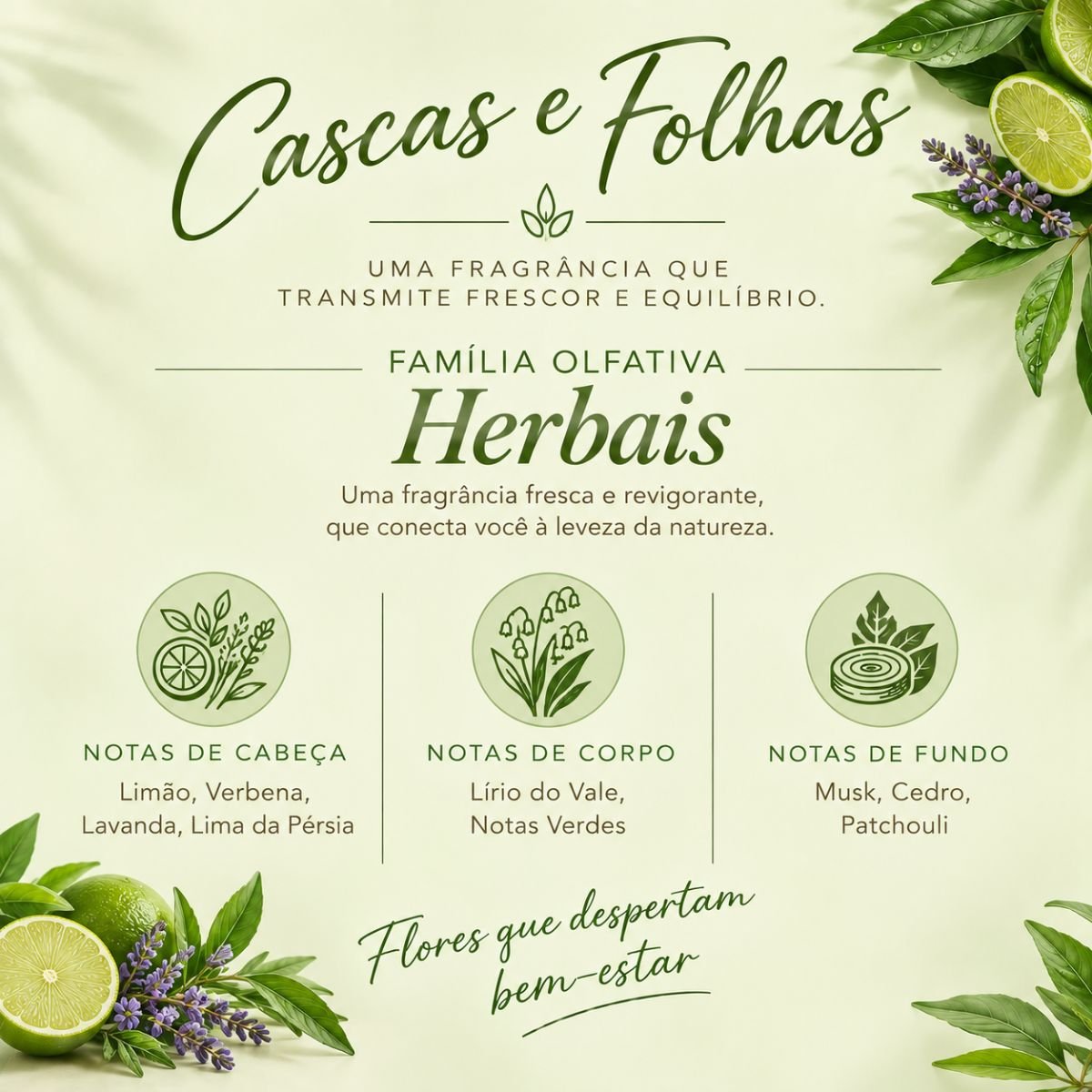 Cascas e Folhas